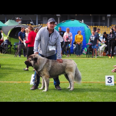 NDS GORZÓW WLKP.'19 - MIMIR